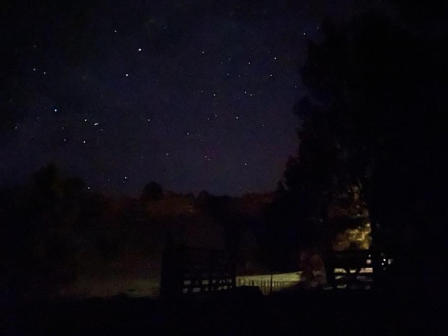 Bush Your Own Place Stunning Views * Taumarunui